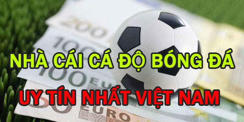 Vài thông tin về trang cá cược thể thao tốt nhất hiện nay