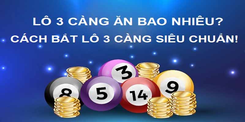 Vận dụng đúng phương pháp là cách trả lời đánh lô 3 càng ăn bao nhiêu hiệu quả